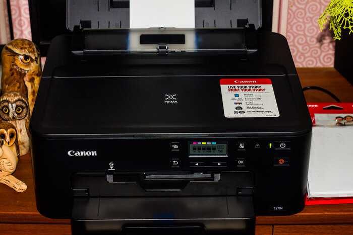 Новый canon pixma ts6350 качество и скорость печати, затраты.