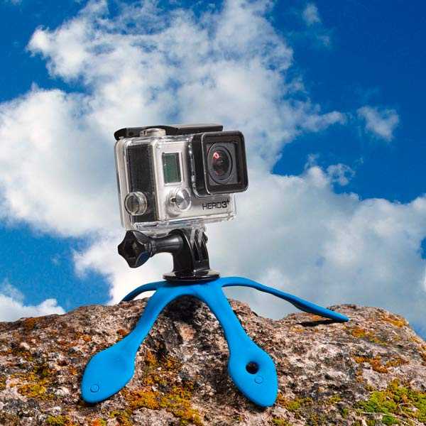 Обзор gopro max камеры 360-градусов — отзывы tehnobzor
