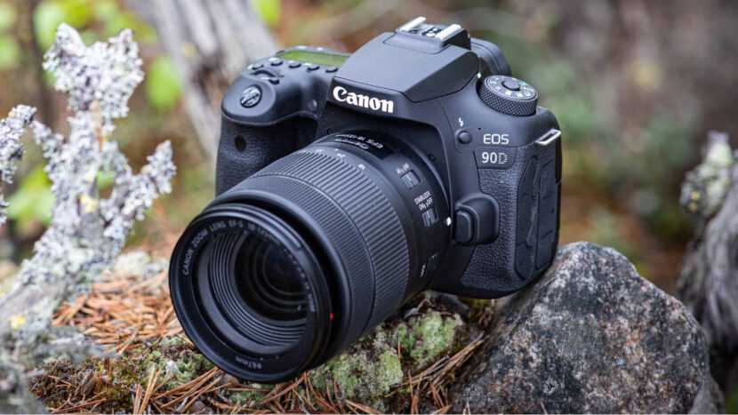 Canon eos 90d vs canon eos r5: в чем разница?