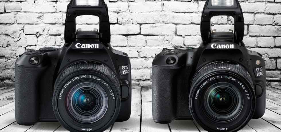 Canon eos 250d vs canon eos 550d: в чем разница?
