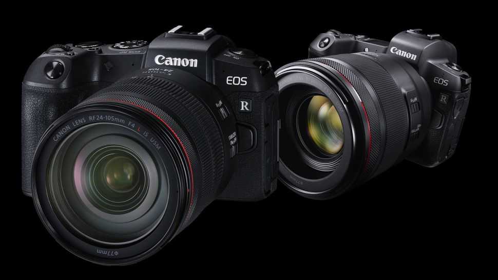Canon eos 50d vs canon eos 6d: в чем разница?