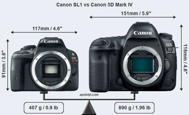 Canon eos 5d mark iv vs canon eos r