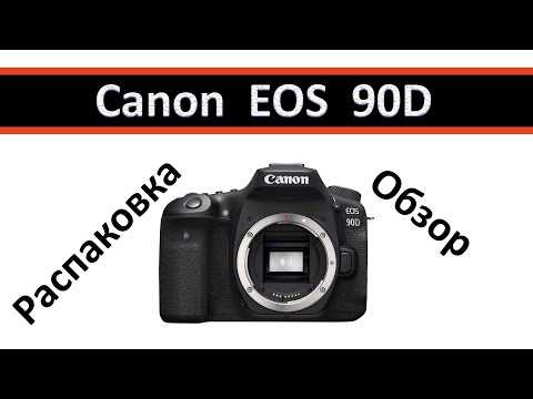 Canon eos 250d vs canon eos 90d