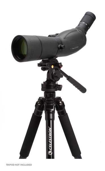 Trailseeker 80 straight spotting scope | celestron