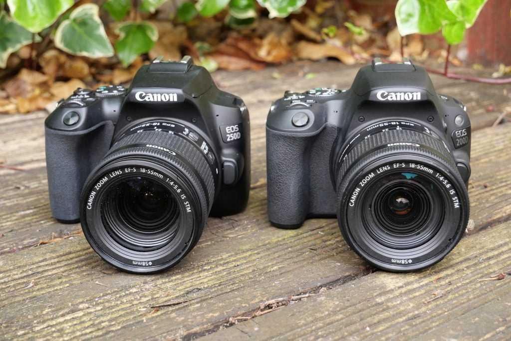 Canon eos 2000d и canon eos 250d - сравнение фотоаппаратов