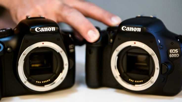 Canon eos m100 vs canon eos m50: в чем разница?