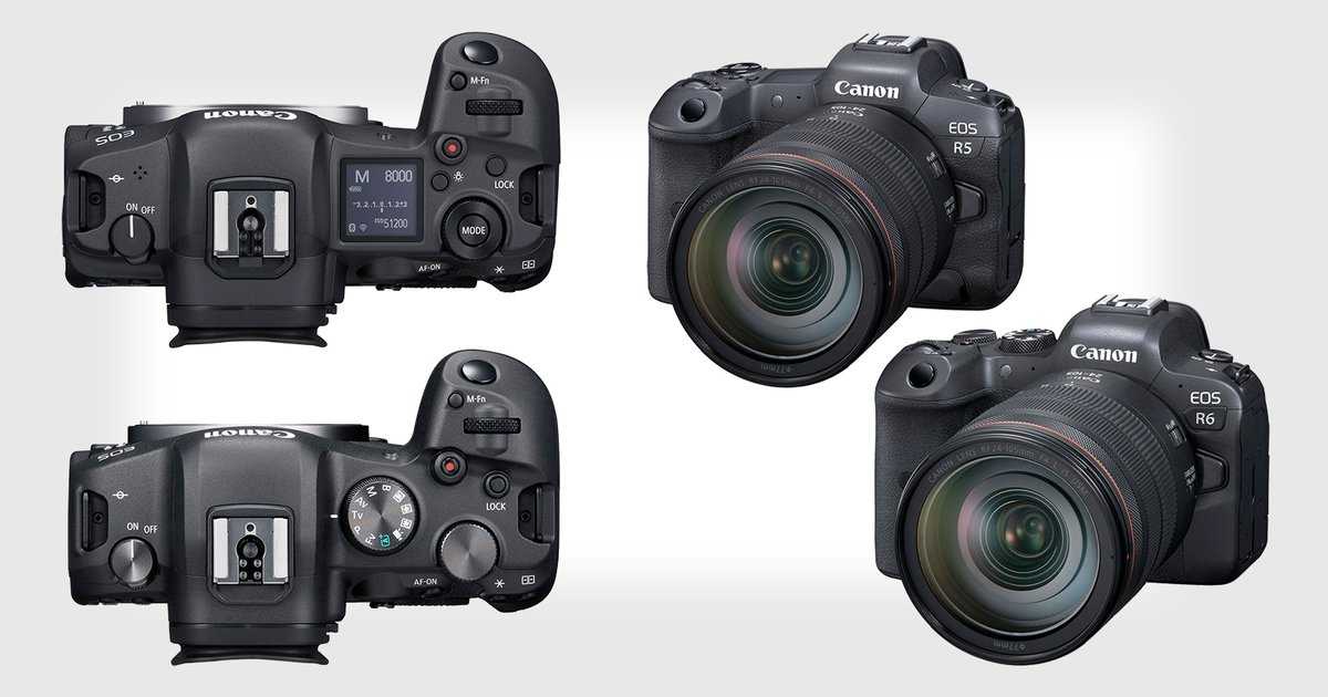 Обзор фотокамеры canon eos r5
