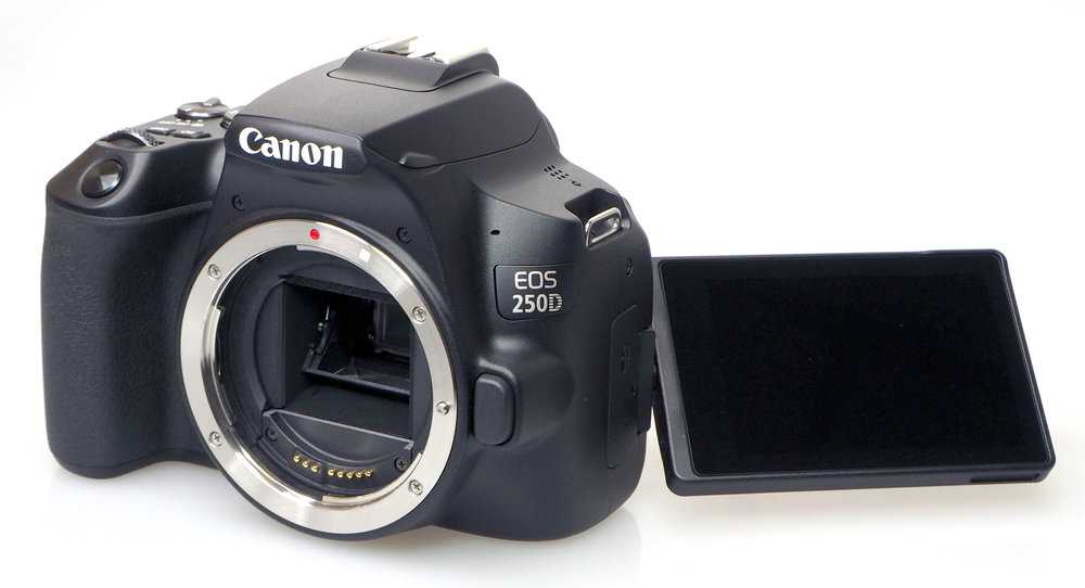Canon eos 250d | 83 факторов