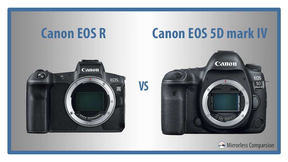 Canon eos 5d mark iv vs canon eos r6: в чем разница?