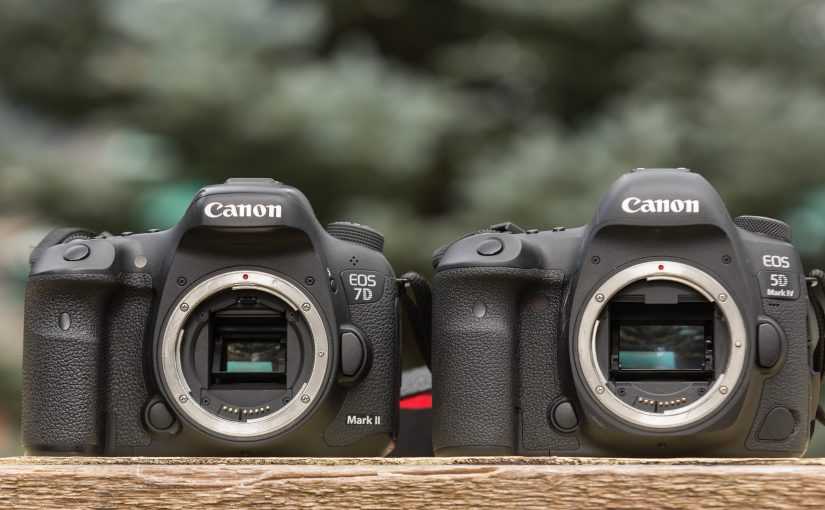 Canon eos 5d mark iv vs canon eos 90d: в чем разница?