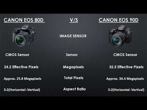 Canon eos 77d vs canon eos 90d: в чем разница?