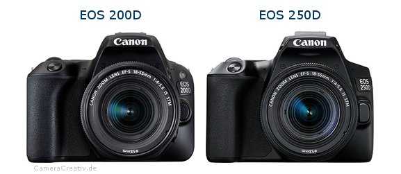 Обзор фотокамеры canon eos 250d