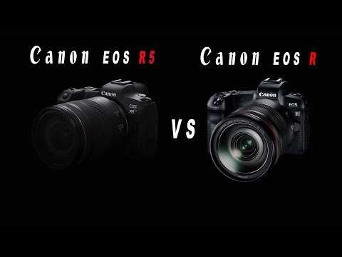 Canon eos r5 и r6 – в чём разница?