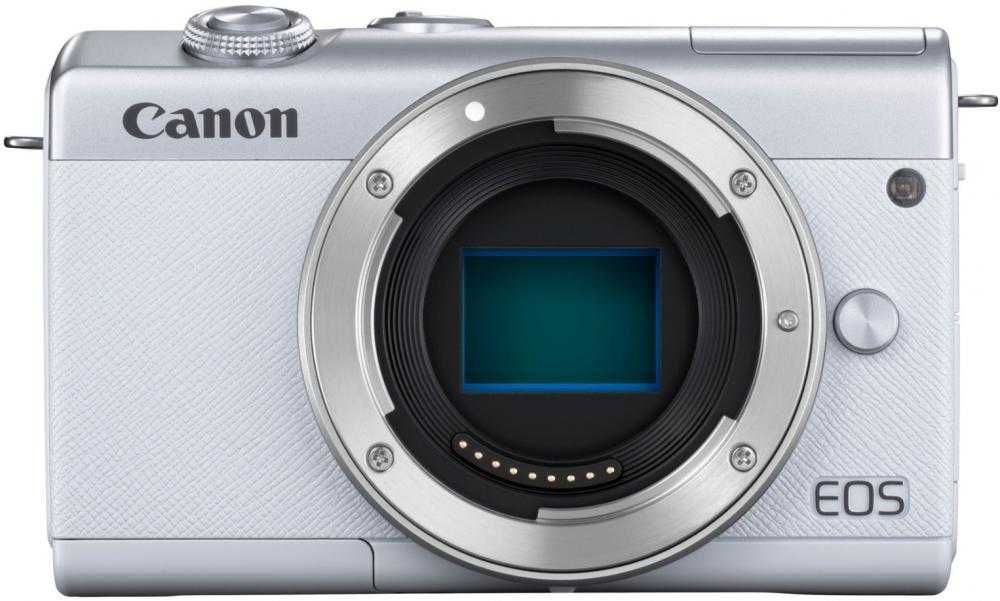Canon eos m100 review