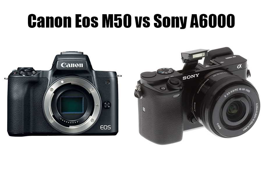 Canon eos 550d vs canon eos 650d: в чем разница?