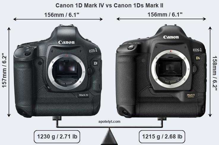 Canon eos 5d mark iii vs canon eos rp