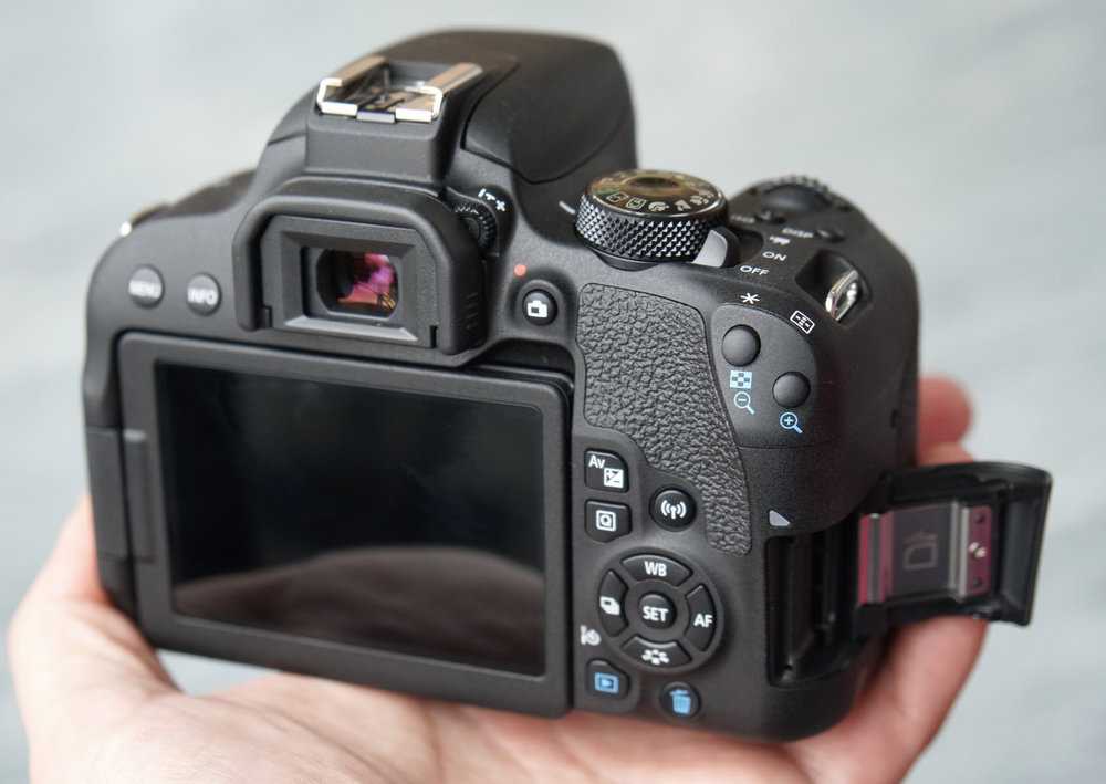 Зеркалка canon eos 800d – хороший старт для новичков // новости фотоиндустрии // fotoexperts