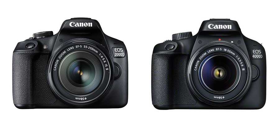 Canon eos m50: лучший ли это беззеркальный фотоаппарат начального уровня