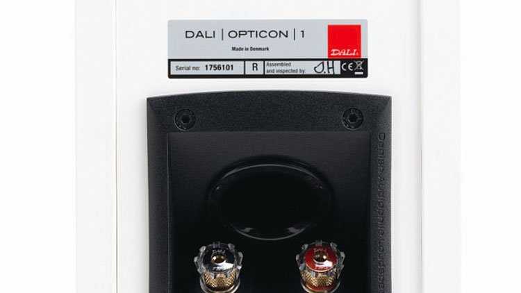 Тест акустической системы dali opticon 6 mk2: удачный апгрейд • stereo.ru