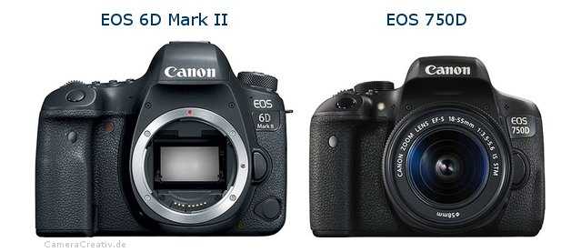 Canon eos 6d vs canon eos 80d
