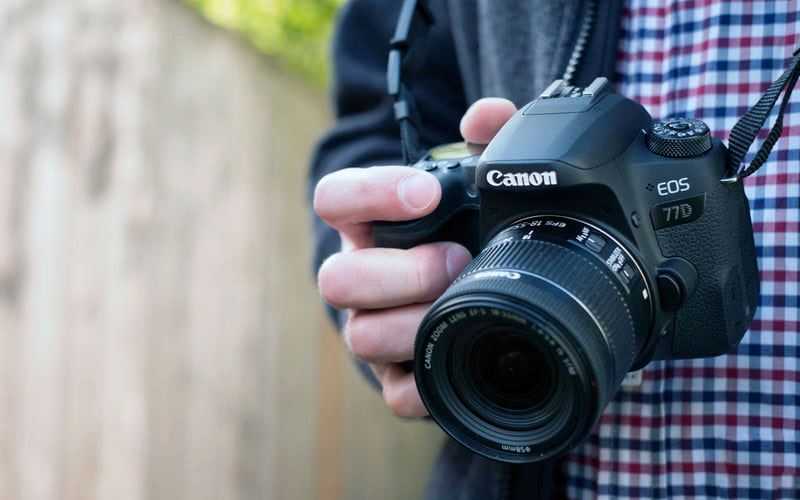 Canon eos 77d обзор: спецификации и цена