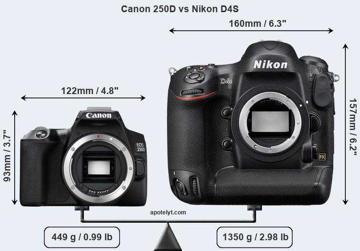Canon eos 250d vs canon eos 800d: в чем разница?