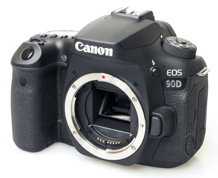 Canon eos 6d vs canon eos 90d: в чем разница?