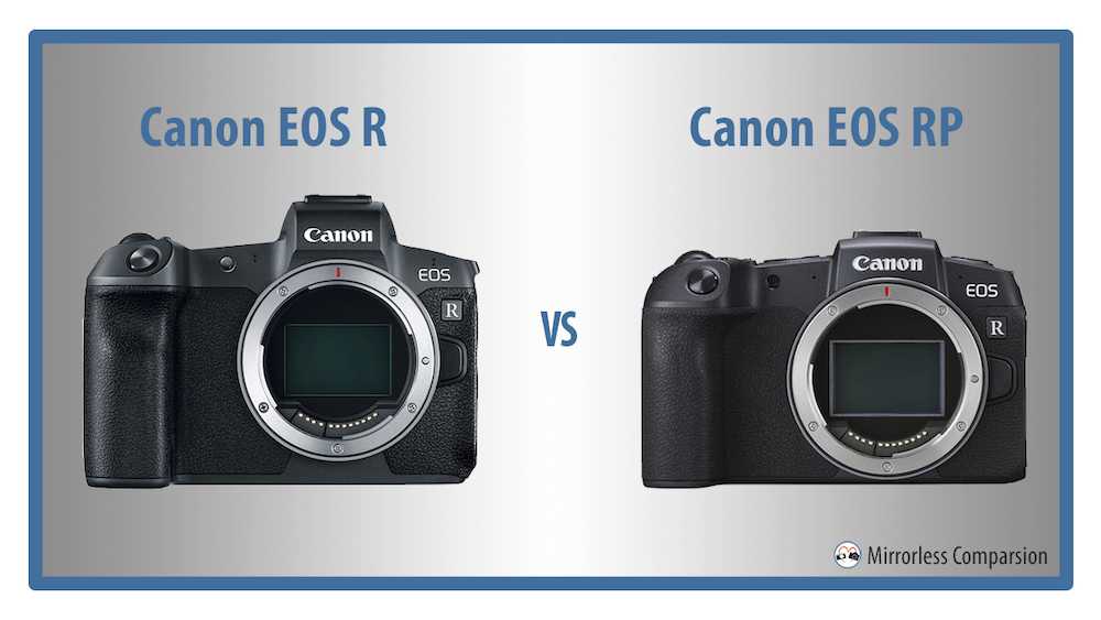 Canon eos r6 | камера для любых задач | обзор и тест