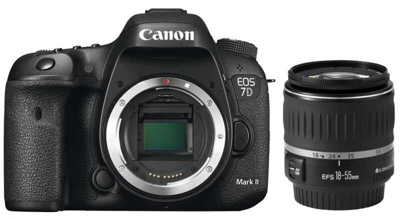 Canon eos 800d — обзор улучшенной в производительности и автофокусировке камеры