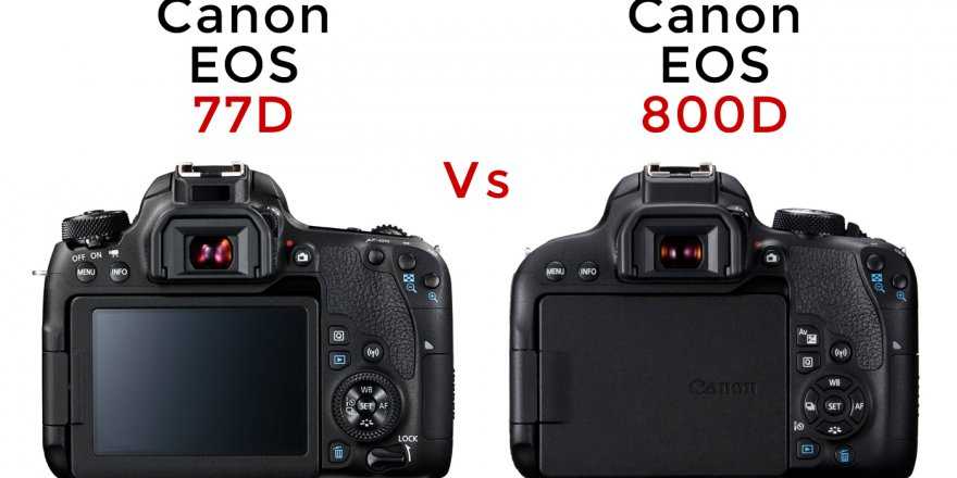 Canon eos 6d vs canon eos 77d: в чем разница?