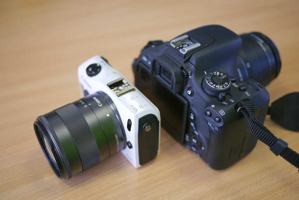 Canon eos m50 обзор и примеры фото