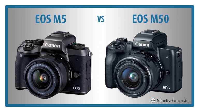 Canon eos 550d vs canon eos 90d: в чем разница?