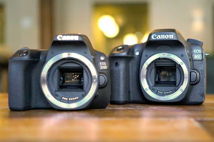 Canon eos 2000d vs canon eos 200d: в чем разница?