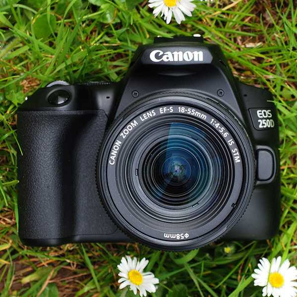 Canon EOS 250D Kit - короткий, но максимально информативный обзор. Для большего удобства, добавлены характеристики, отзывы и видео.