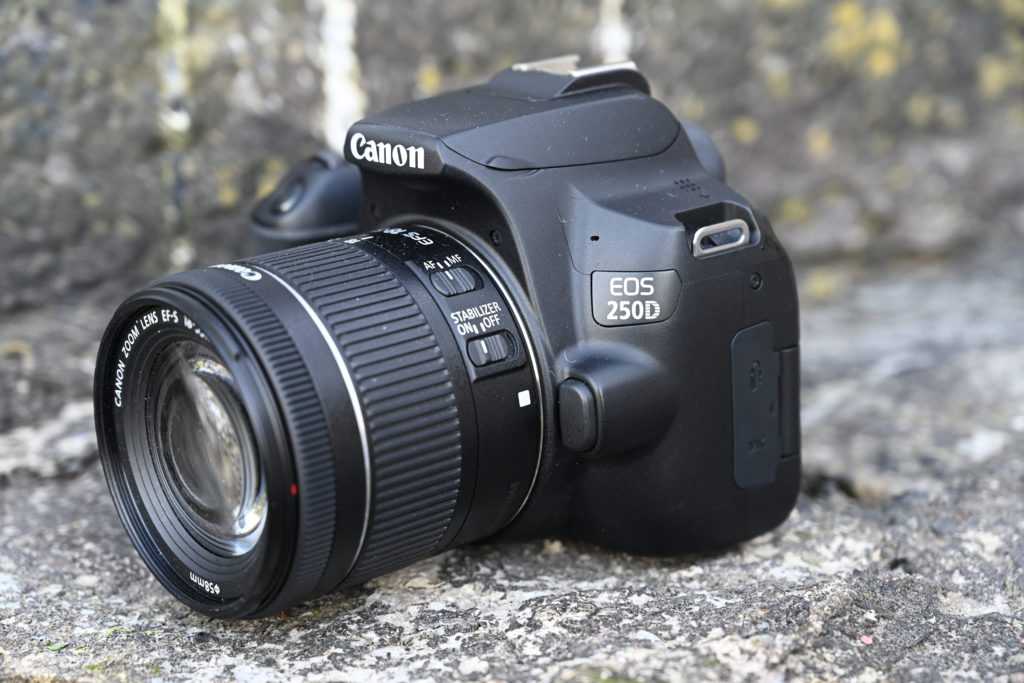 Canon eos 250d vs canon eos 800d: в чем разница?