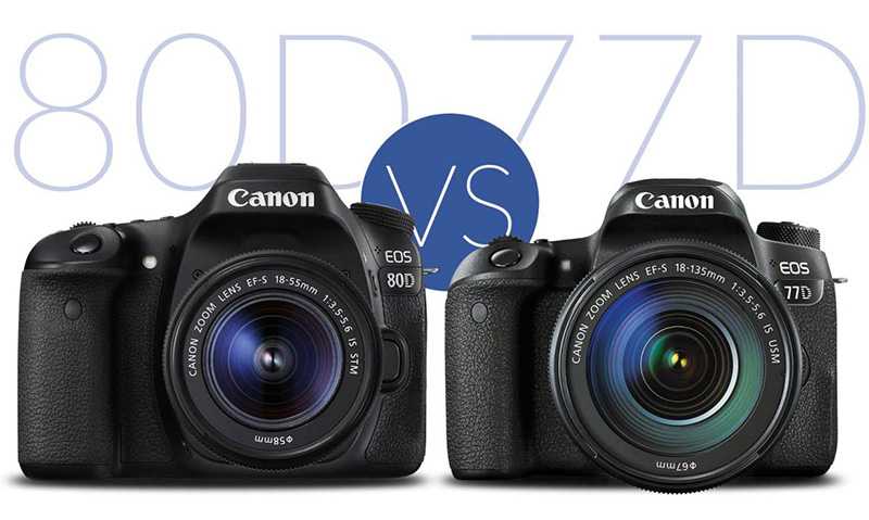Canon eos 250d vs canon eos 77d: в чем разница?