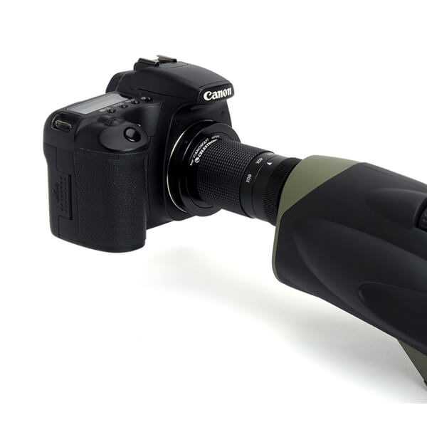 Amazon.com : celestron 52332 trailseeker 80 - 45 degree spotting scope(black) : electronics
