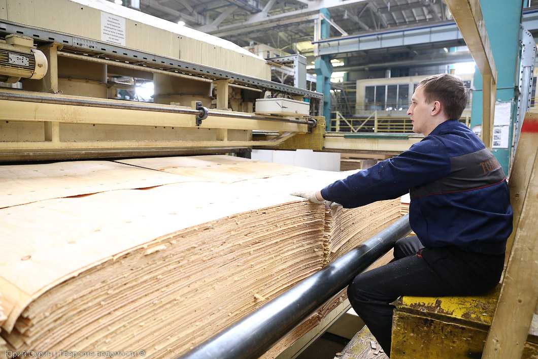 Краткий обзор деревообрабатывающей промышленности россии