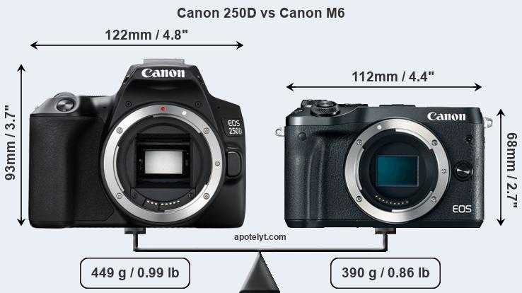 Canon eos 200d vs canon eos 250d: в чем разница?