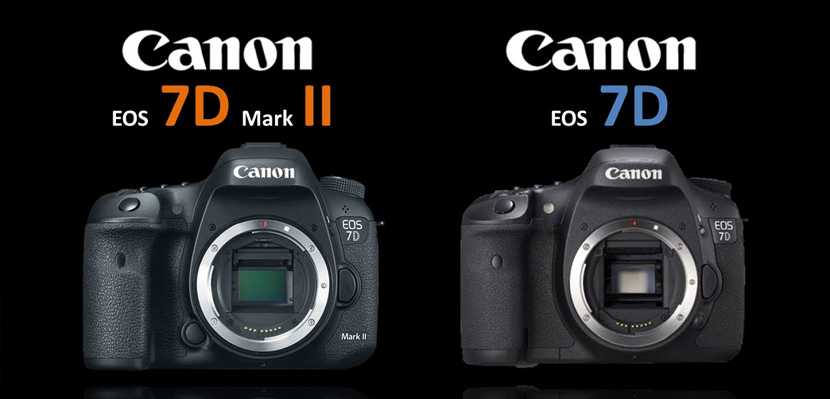 Canon eos 5d mark ii vs canon eos 7d