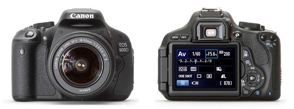 Обзор canon eos m50: лучшая камера для блогеров? - the roco