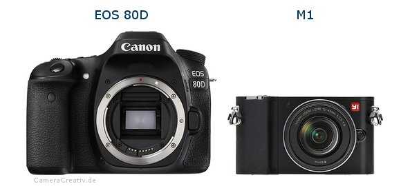 Canon eos rp vs nikon d850