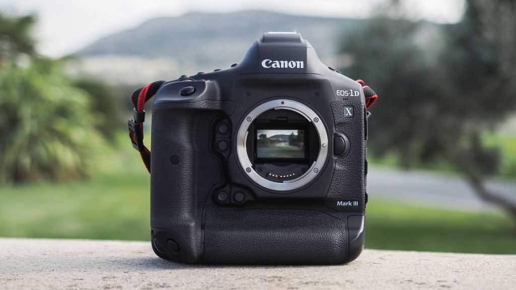 Canon eos 350d: работа над ошибками