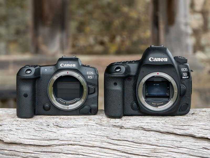 Canon eos r5 и canon eos r6, различия | photowebexpo